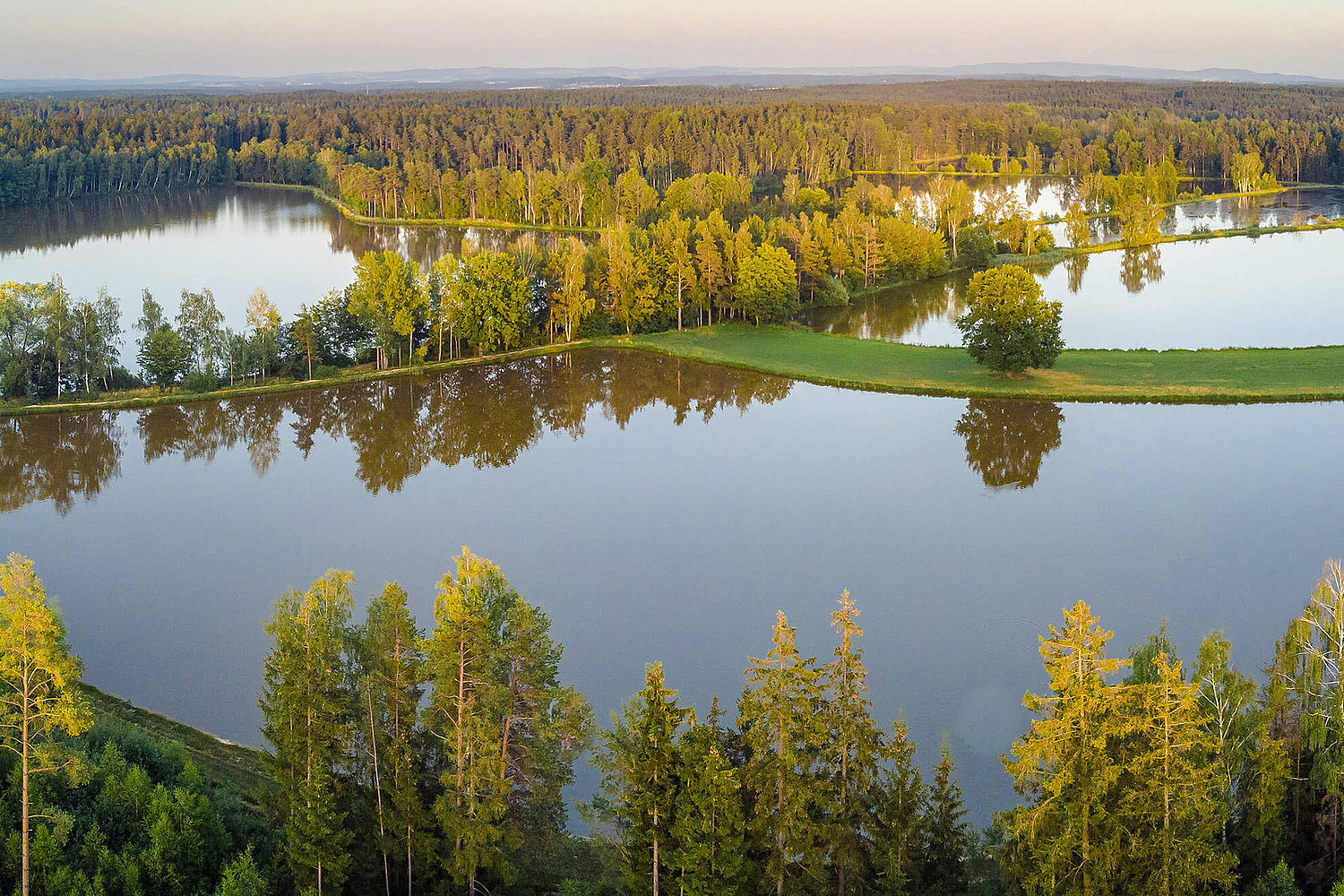 Muckenthaler Teichpfanne - Foto: Tourismuszentrum Oberpfälzer Wald / Matthias Kunz