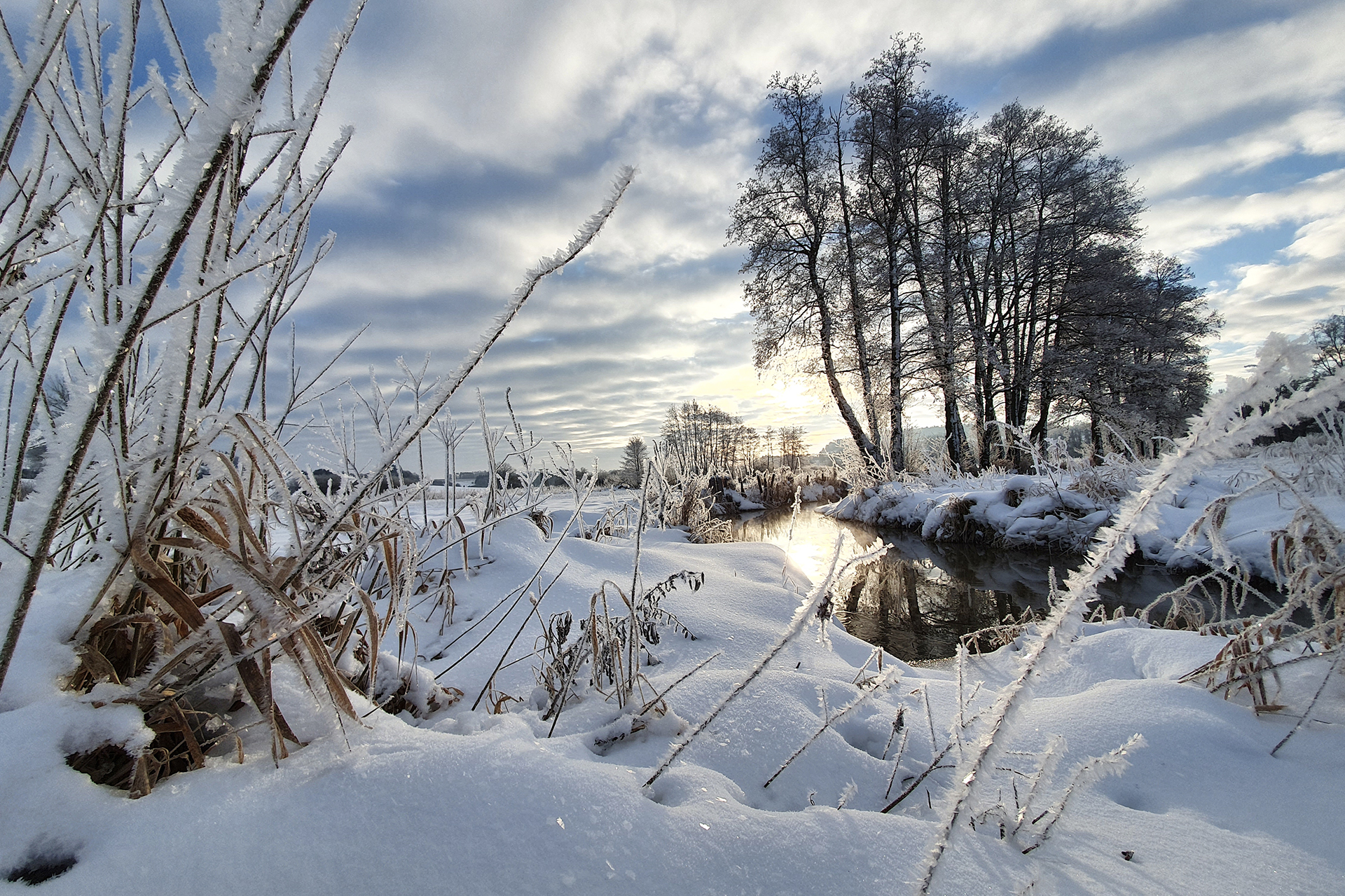 Deusmauer Moor, Foto: Regionalpark