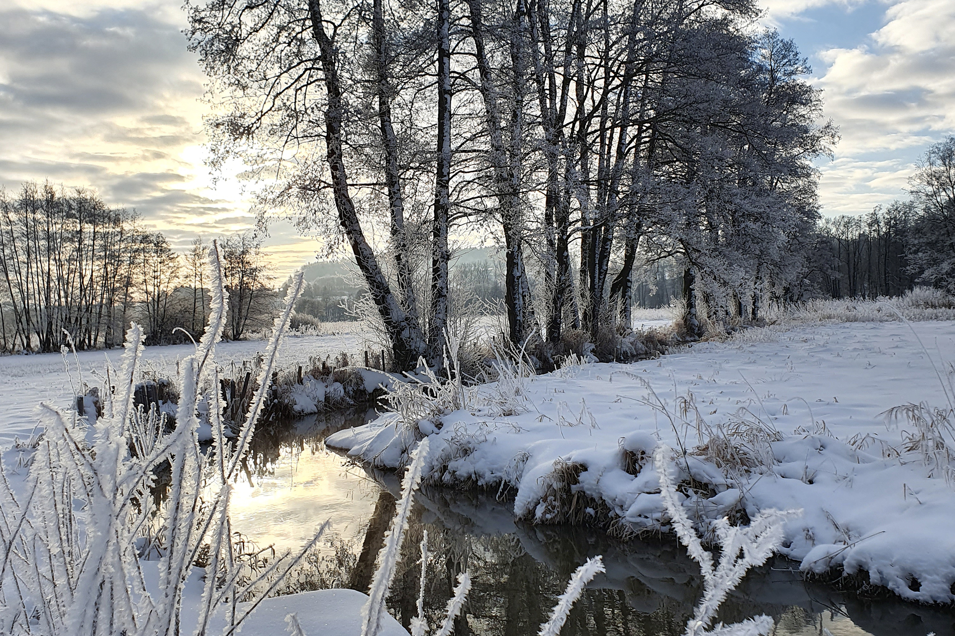 Deusmauer Moor, Foto: Regionalpark