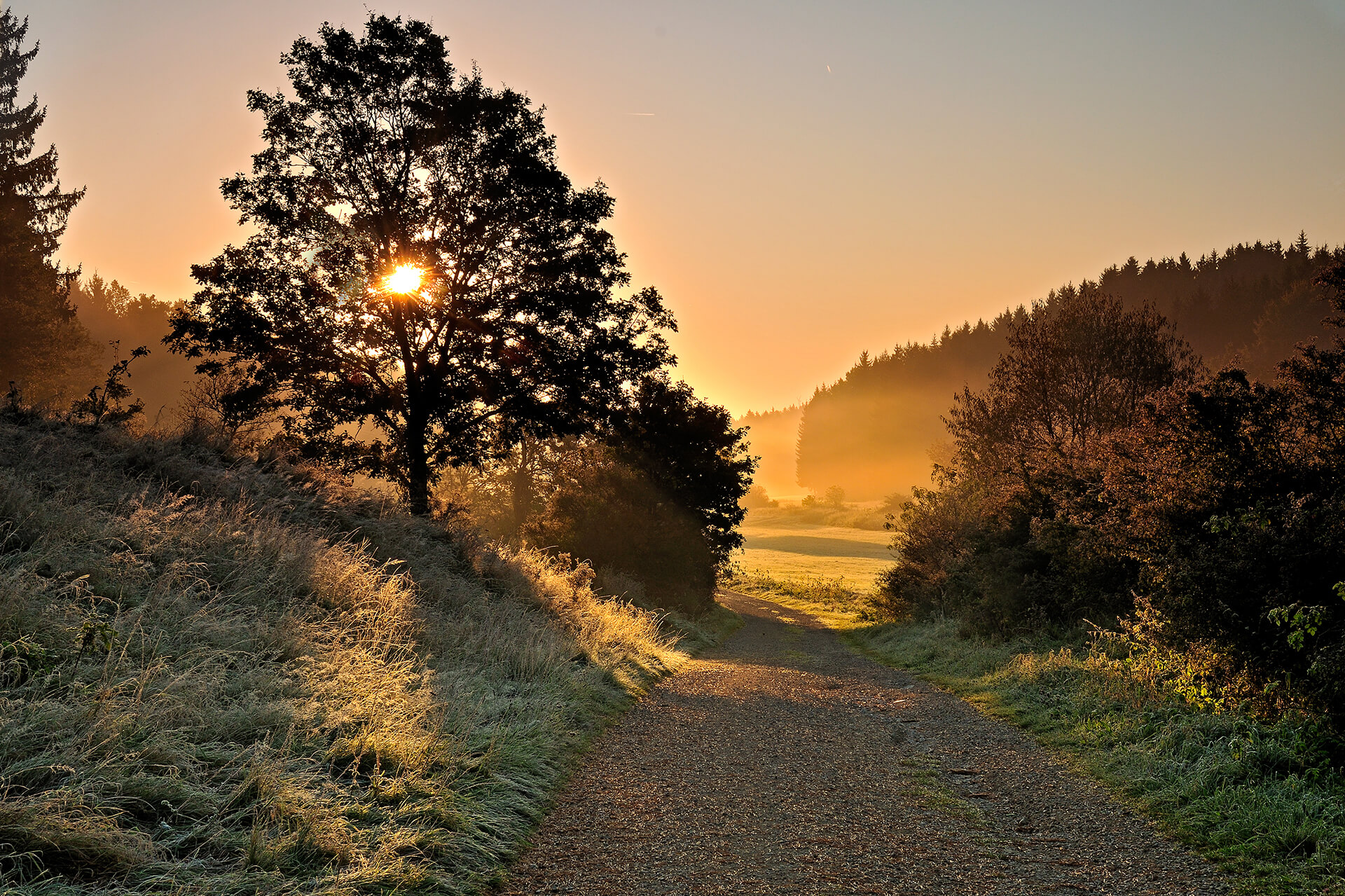 Heimatlotse - Bayerischer Jura - CONTEMPLATIO Wanderweg 