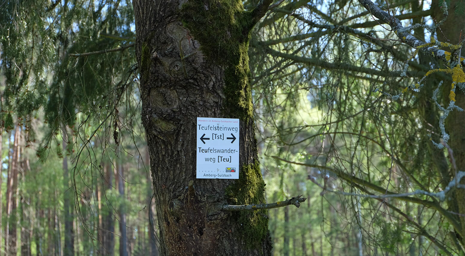 Rundwanderung zum Teufelstein