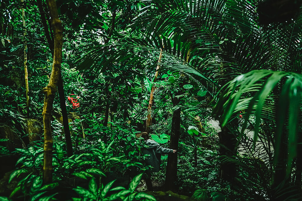 Ökologisch-botanischer Garten, Foto: GMK