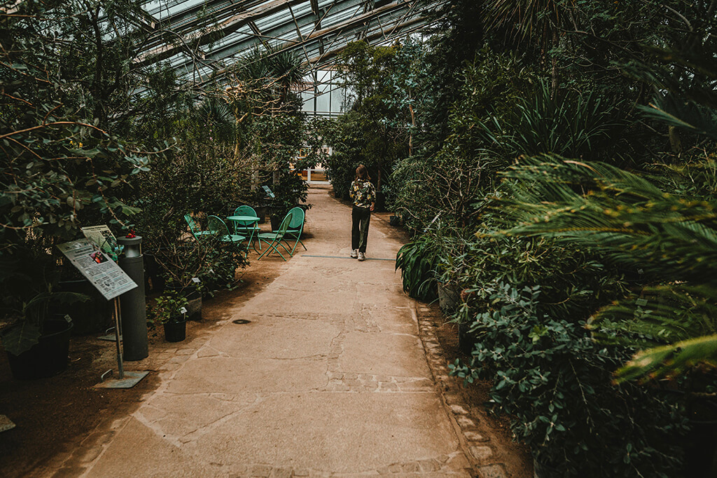 Ökologisch-botanischer Garten, Foto: GMK