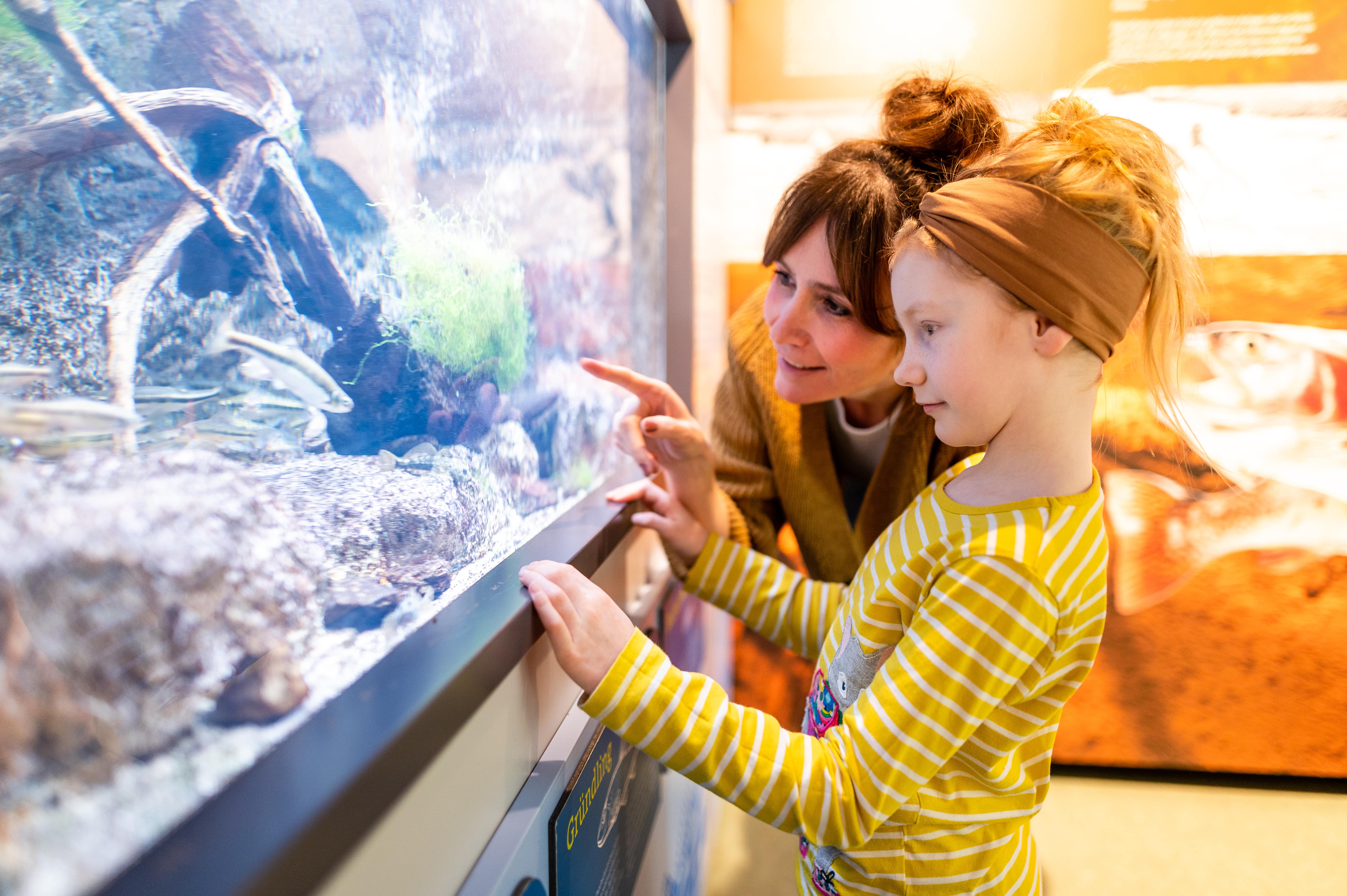 Mutter+Tochter 1. OG am Aquarium im HDN, Foto: ©Regionalverbund Thüringer Wald e.V. / Christopher Schmid