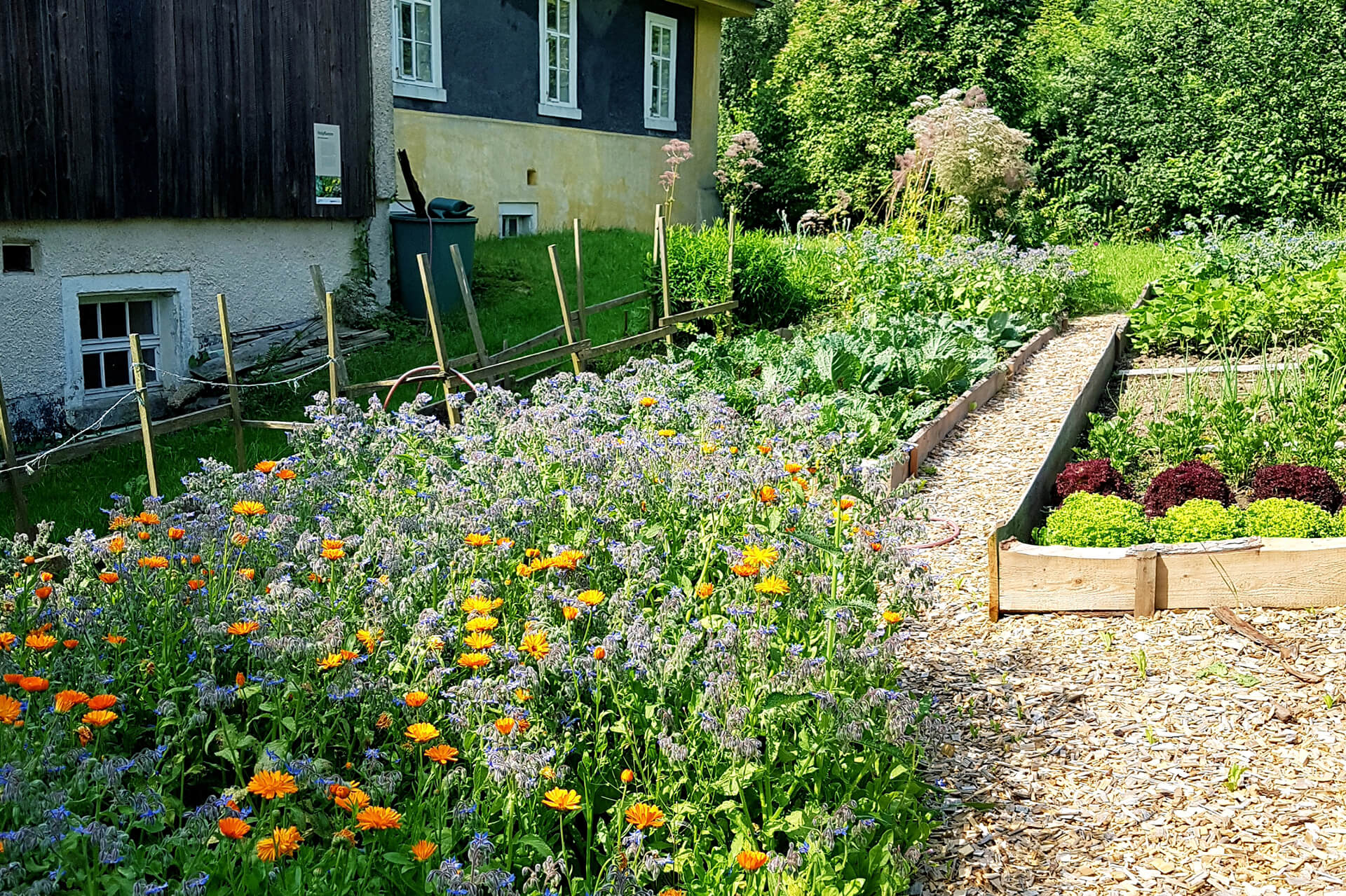 Bauerngarten 2021 im Gerätemuseum Bergnersreuth