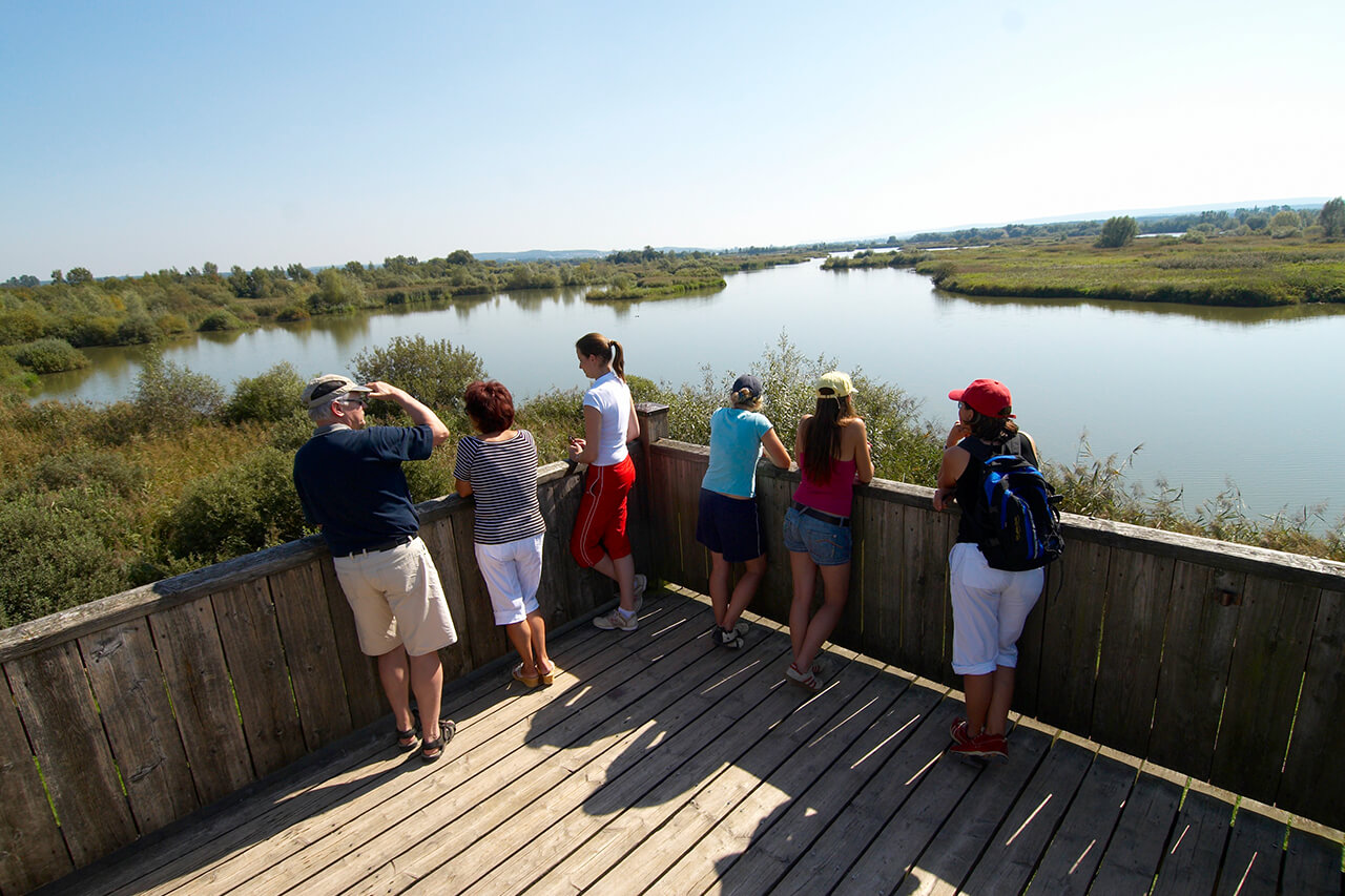 Aussichtsplattform Vogelinsel, Foto: TV Fränkisches Seenland / Andreas Hub