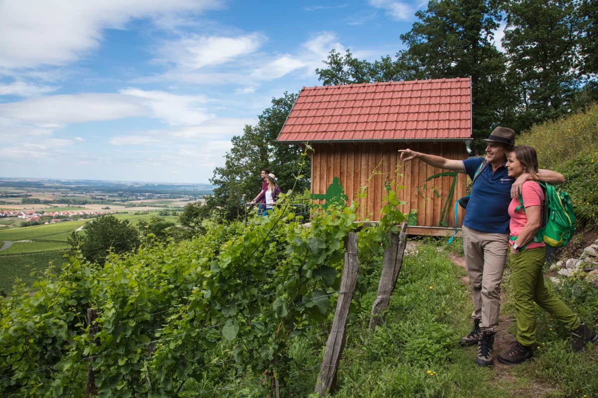 Weinentdeckerrunde Iphofen - Fränkisches Weinland, Foto: Holger Leue