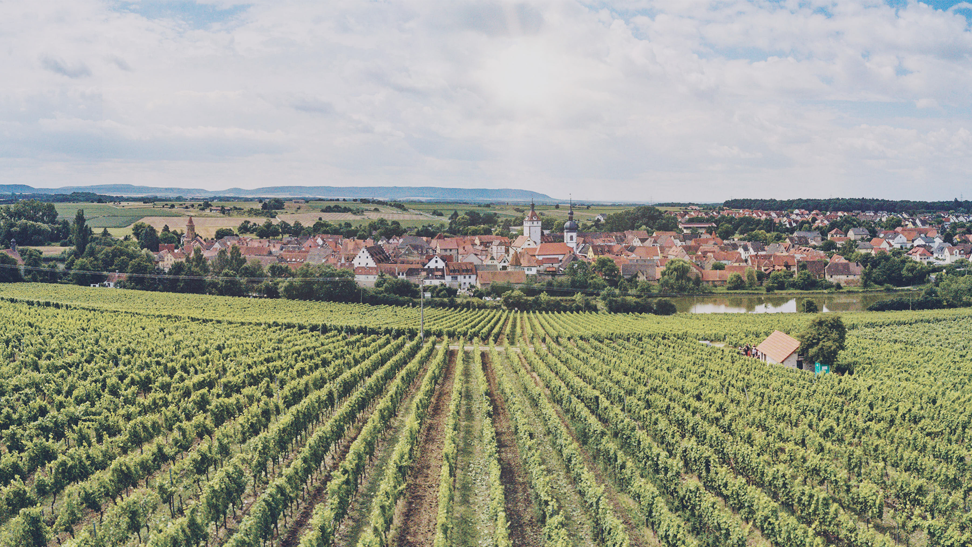 Foto: Florian Kogler