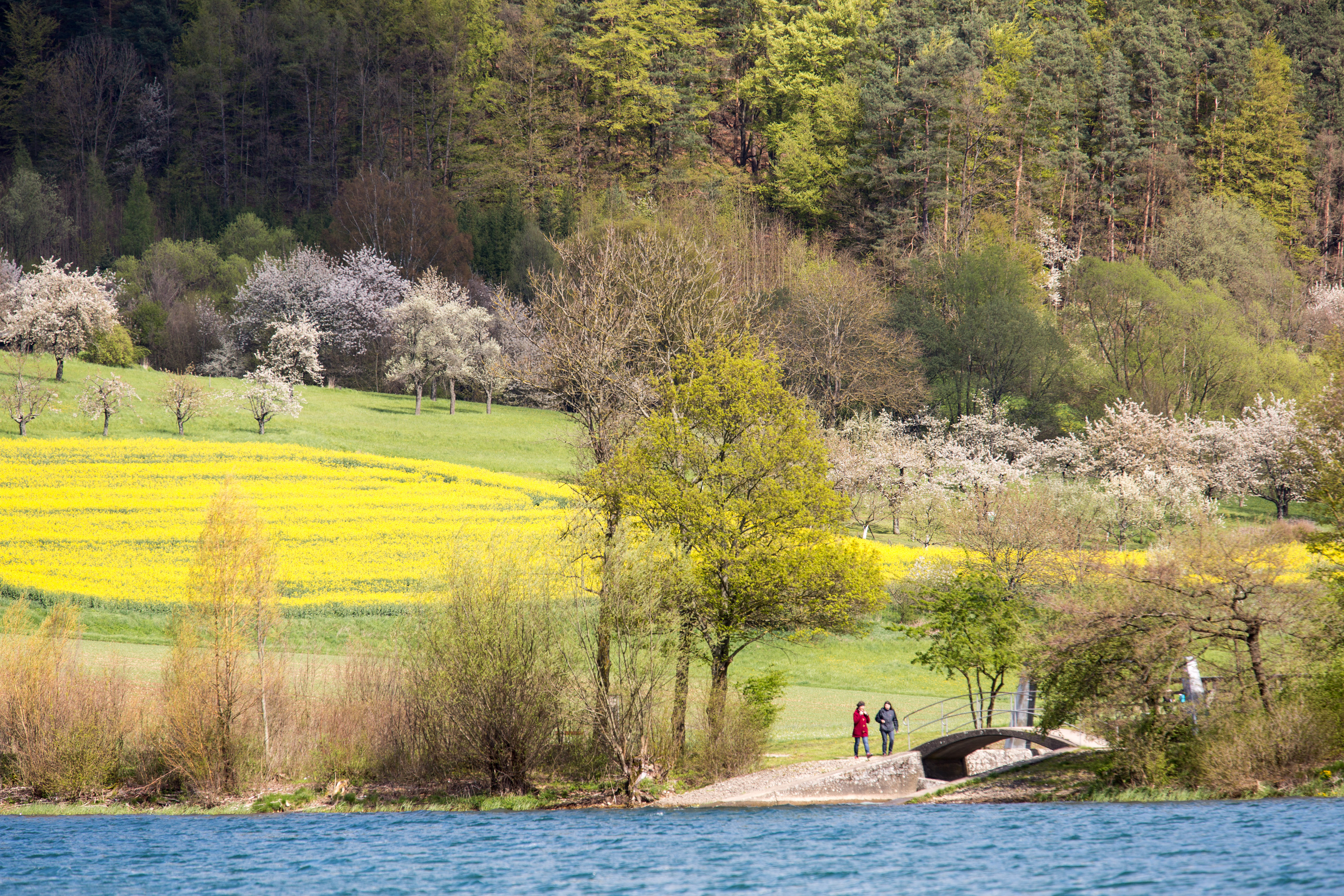 Am Happurger Stausee, Foto: Nürnberger Land Tourismus - Thomas Geiger