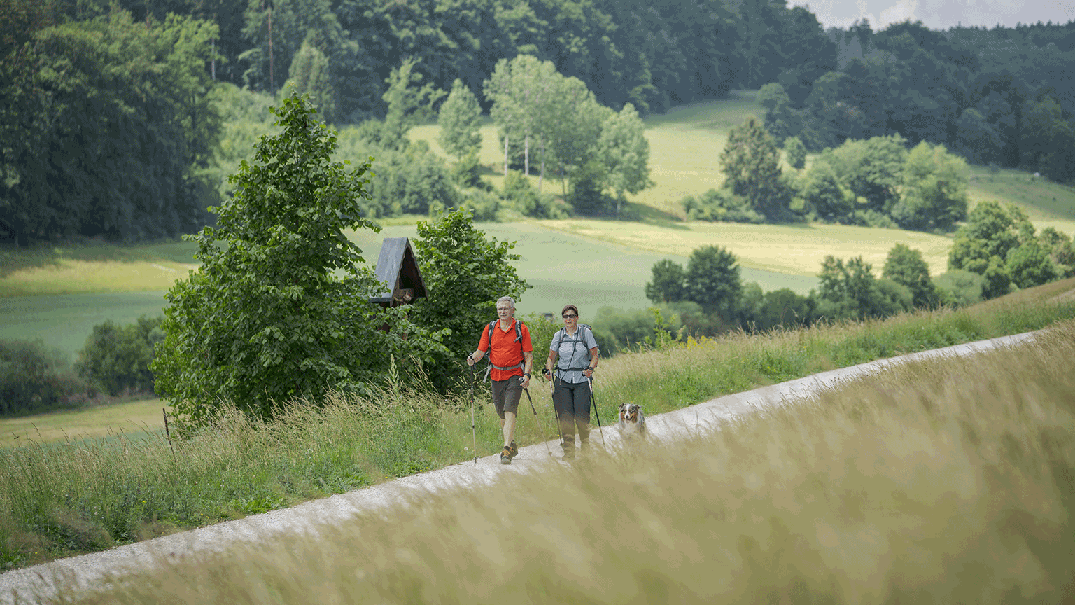 Wandern mit Hund Wallfahrerweg, Foto: Stadt Greding