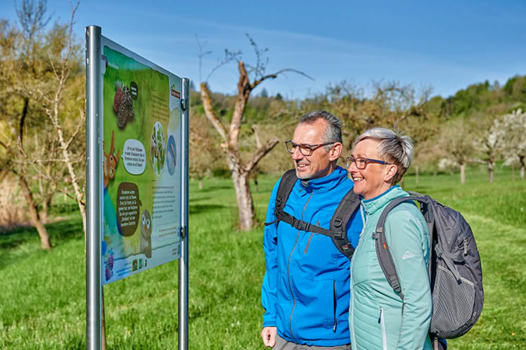 Streuobstführung, Foto: Romantisches Franken F. Trykowski