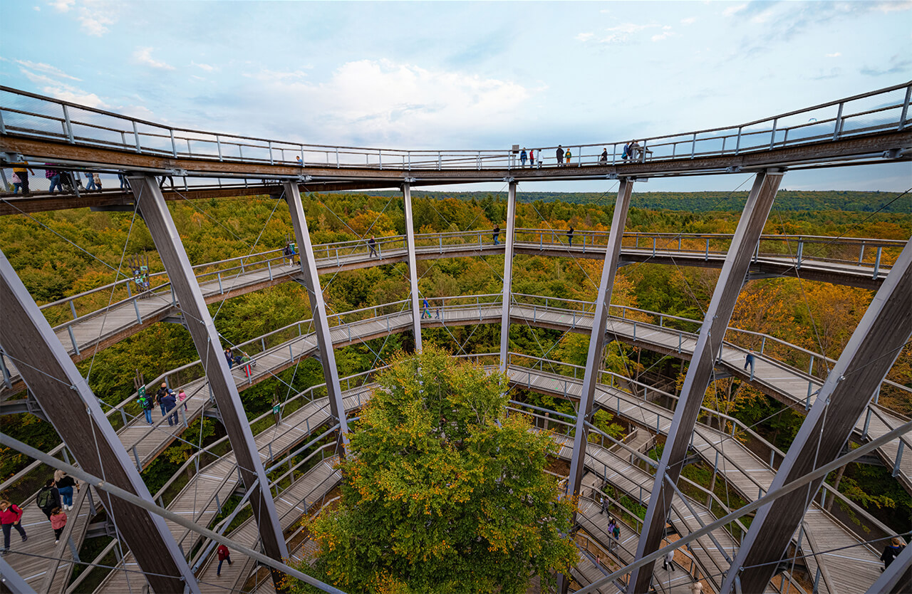 Baumwipfelpfad Steigerwald, Foto: Bayerische Staatsforsten AöR / Martin Hertel