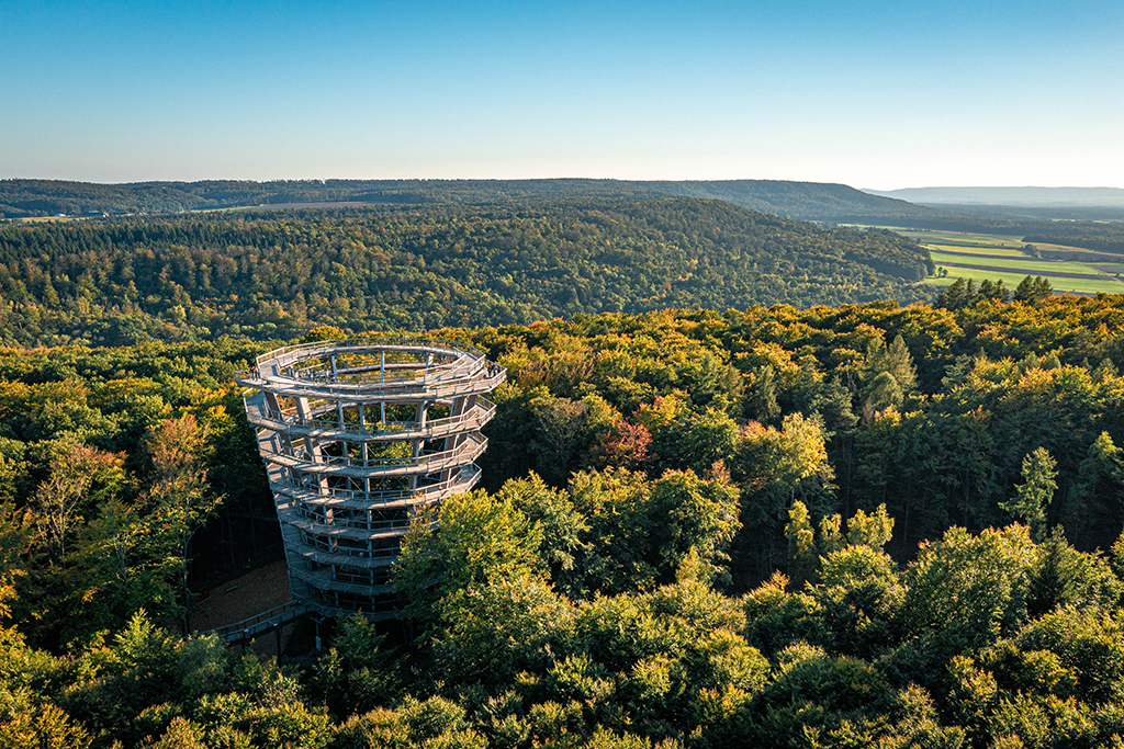 Baumwipfelpad, Foto: Bayerische Staatsforsten AöR, Martin Hertl