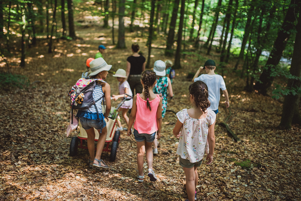 Waldführung Kinder, Foto: Constanze Stern