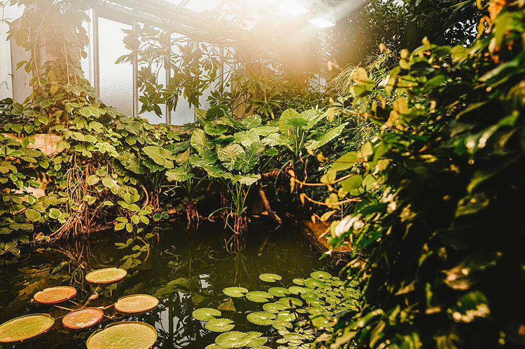 Ökologischbotanischer Garten Bayreuth Der Heimatlotse Aktivitäten