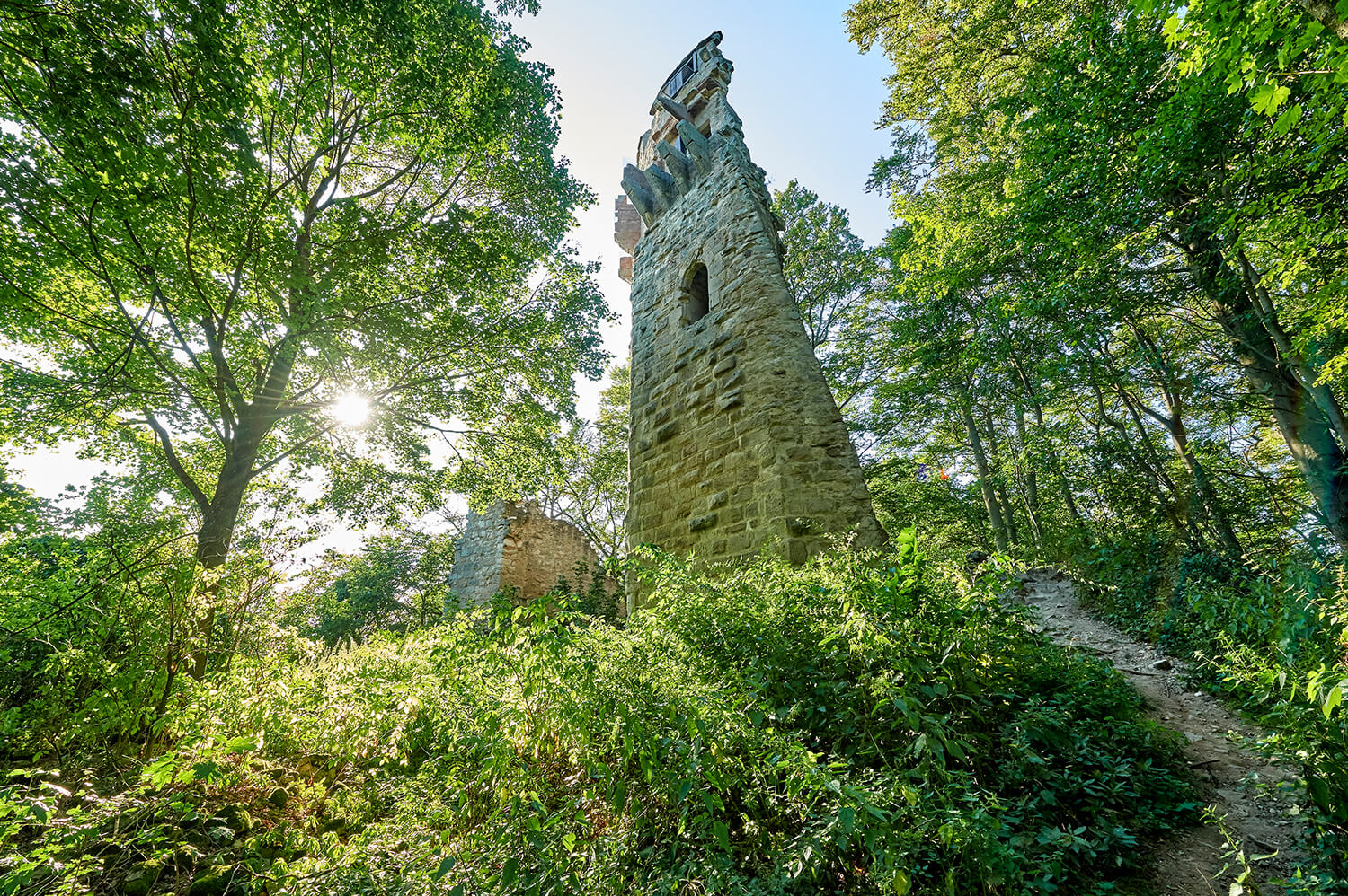 Burgruine Stollburg, Foto: Florian Trykowski / Steigerwald Tourismus