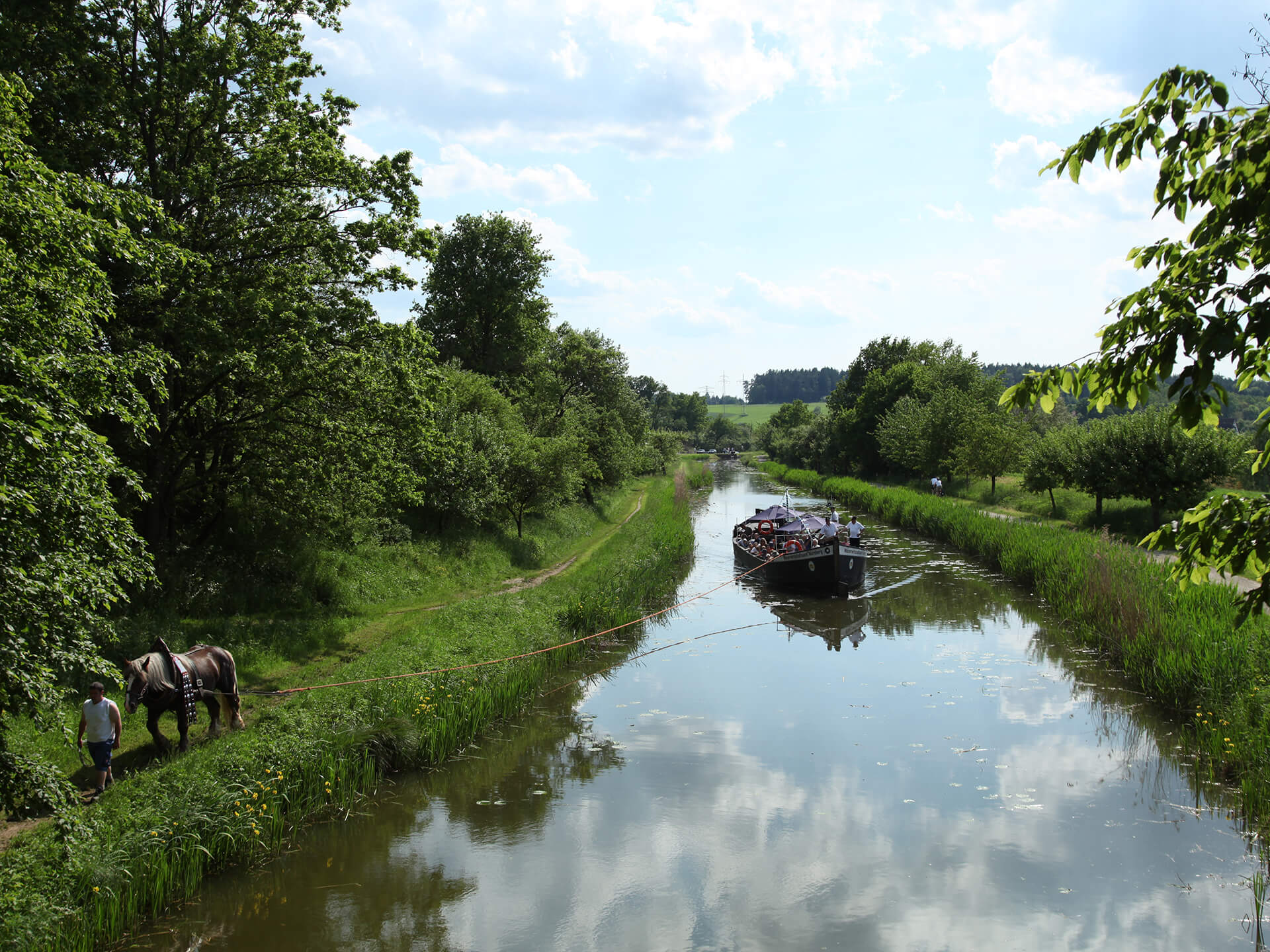 Treideln mit Elfriede, Foto: NLT / Thomas Geiger