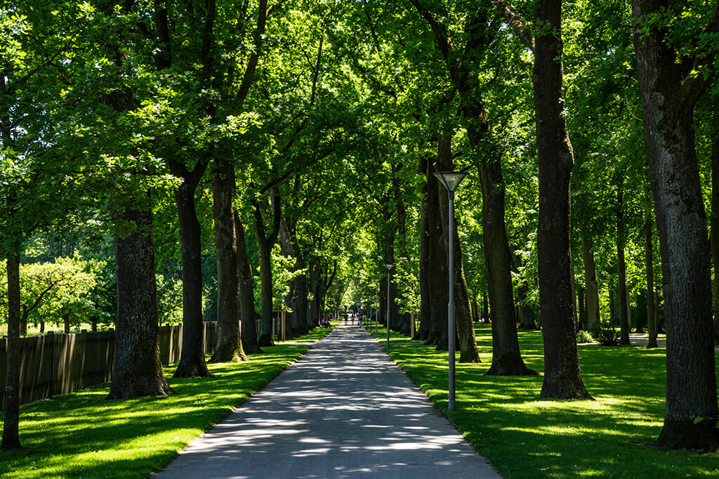 Hofgarten Bayreuth - Foto: Frank Albrecht