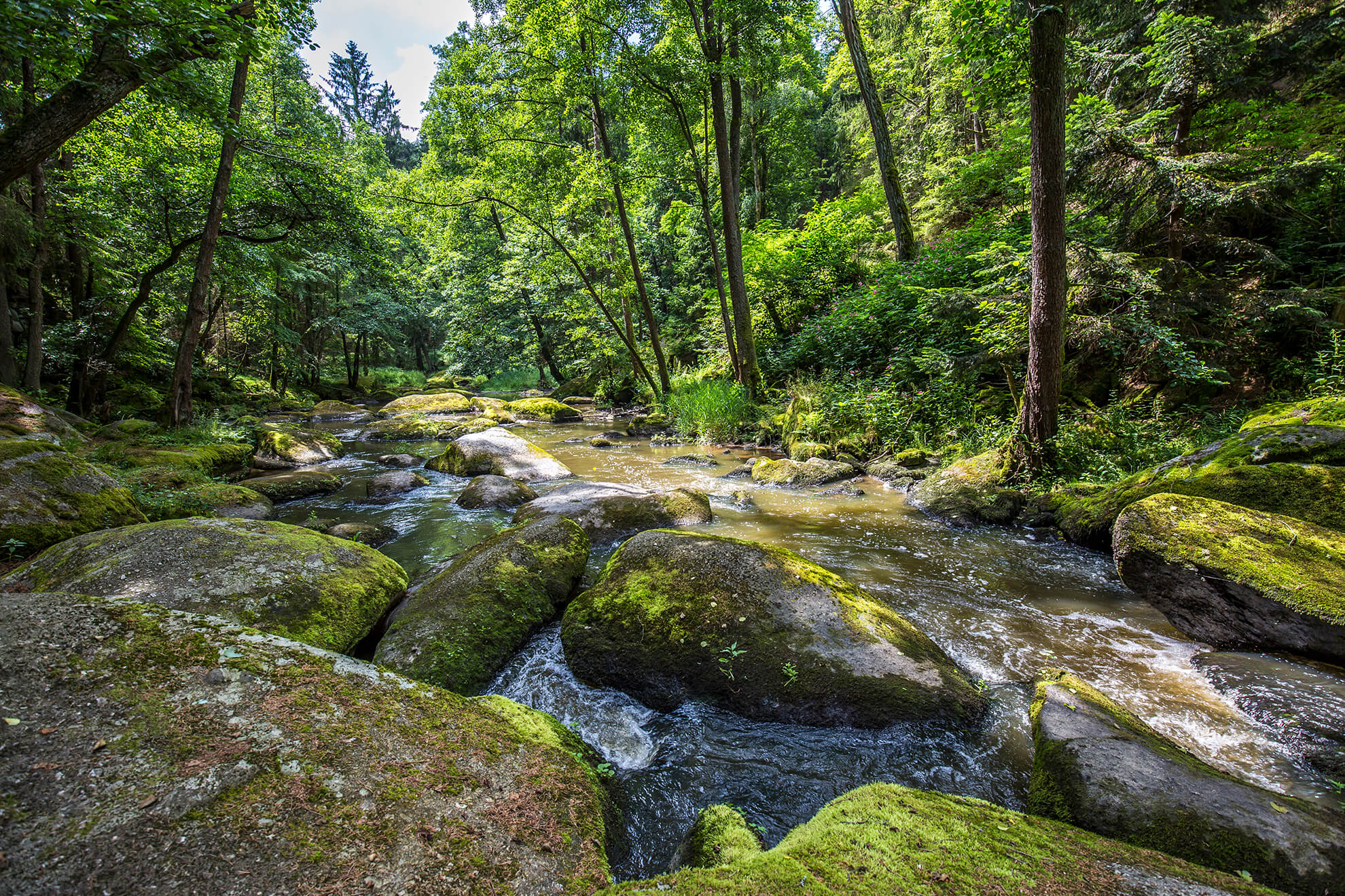 Zoiglwanderung auf dem Goldsteig – Foto: Oberpfälzer Wald / Thomas Kujat