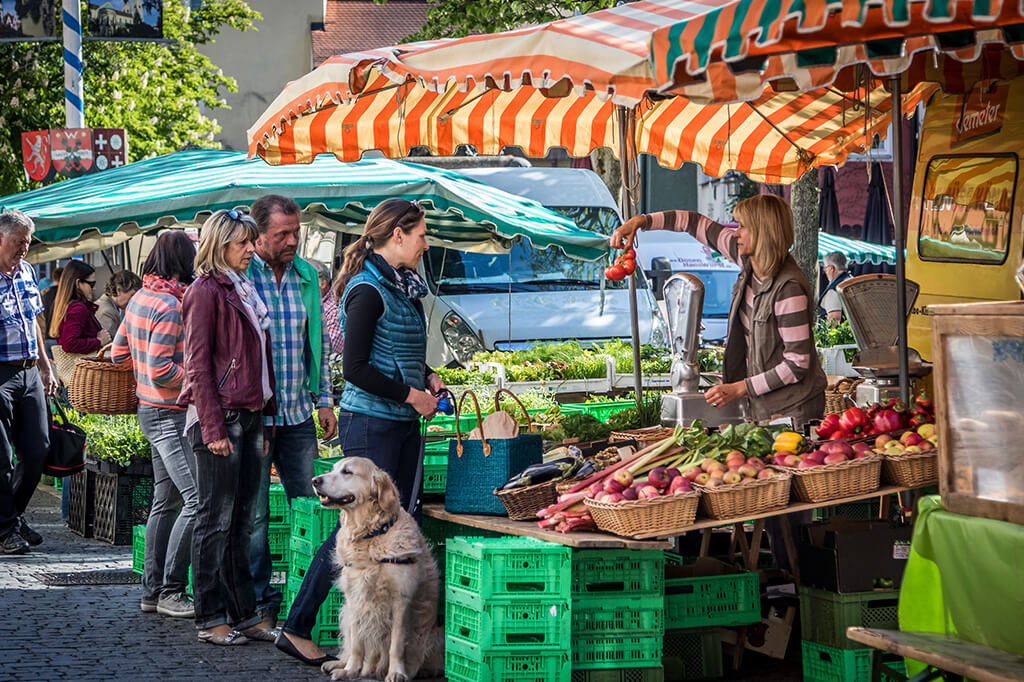 Regionales auf dem Wochenmarkt, Foto: Oberpfälzer Wald / Thomas Kujat