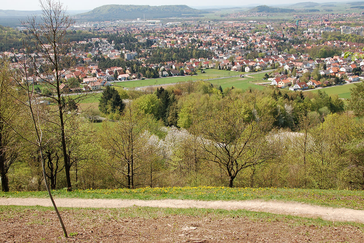 Blick über Neumarkt vom Wolfsteinberg, Foto: Katja Schumann