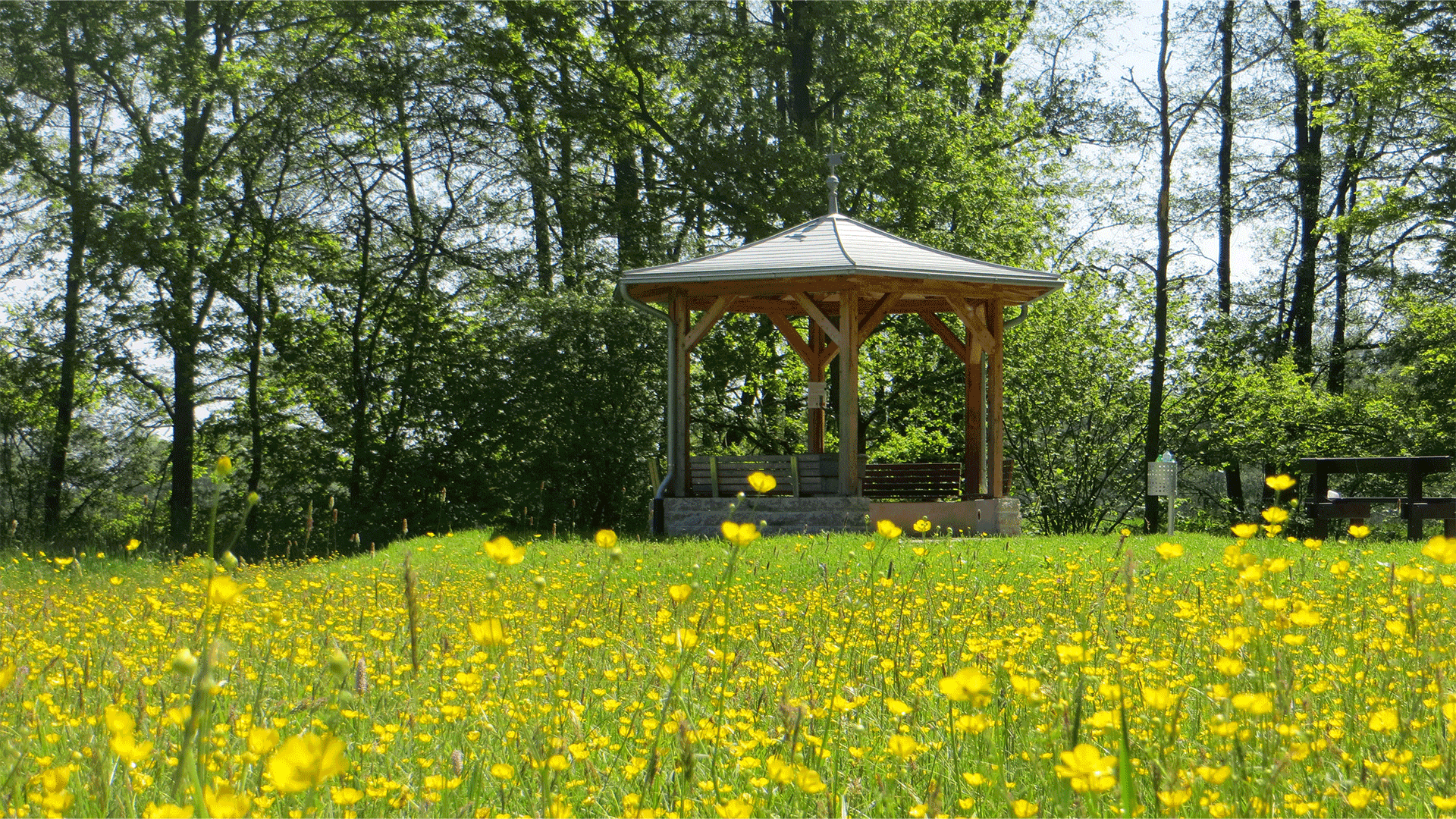 Carolinenquelle mit Blumenwiesen