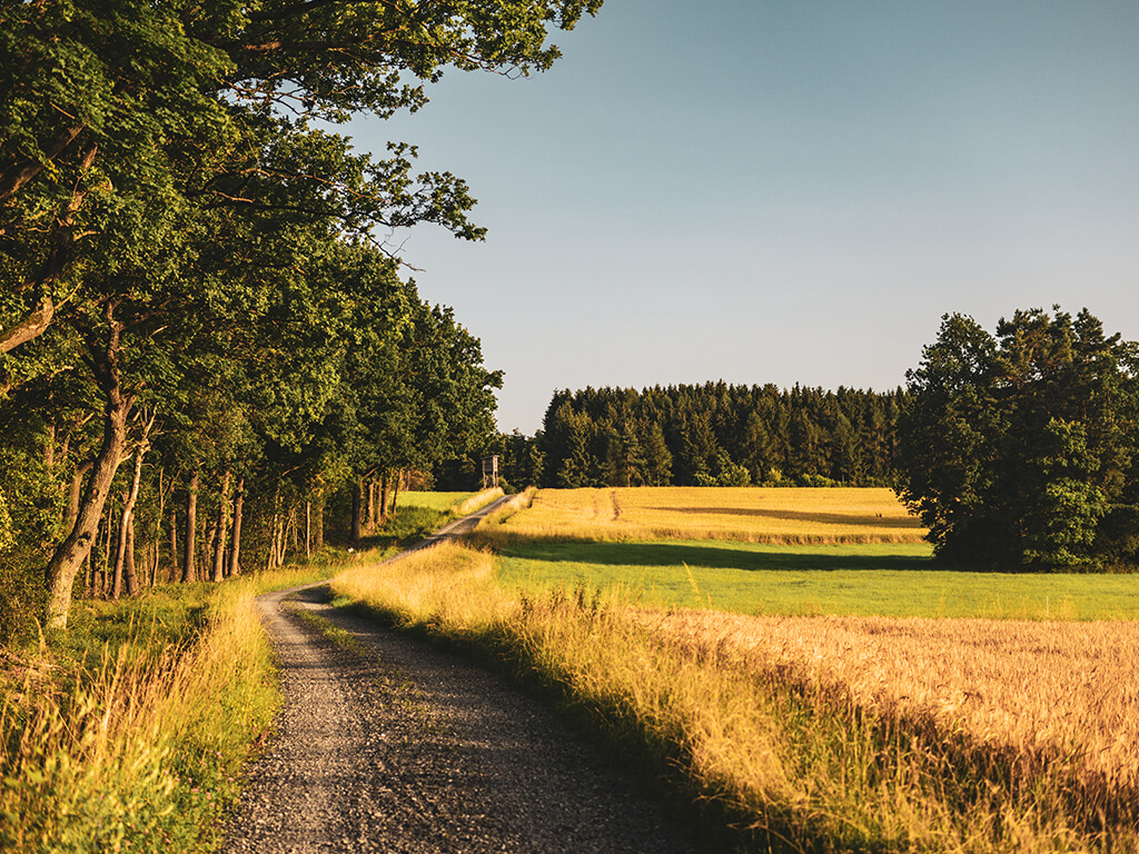 Der Heimatlotse - was steckt dahinter?