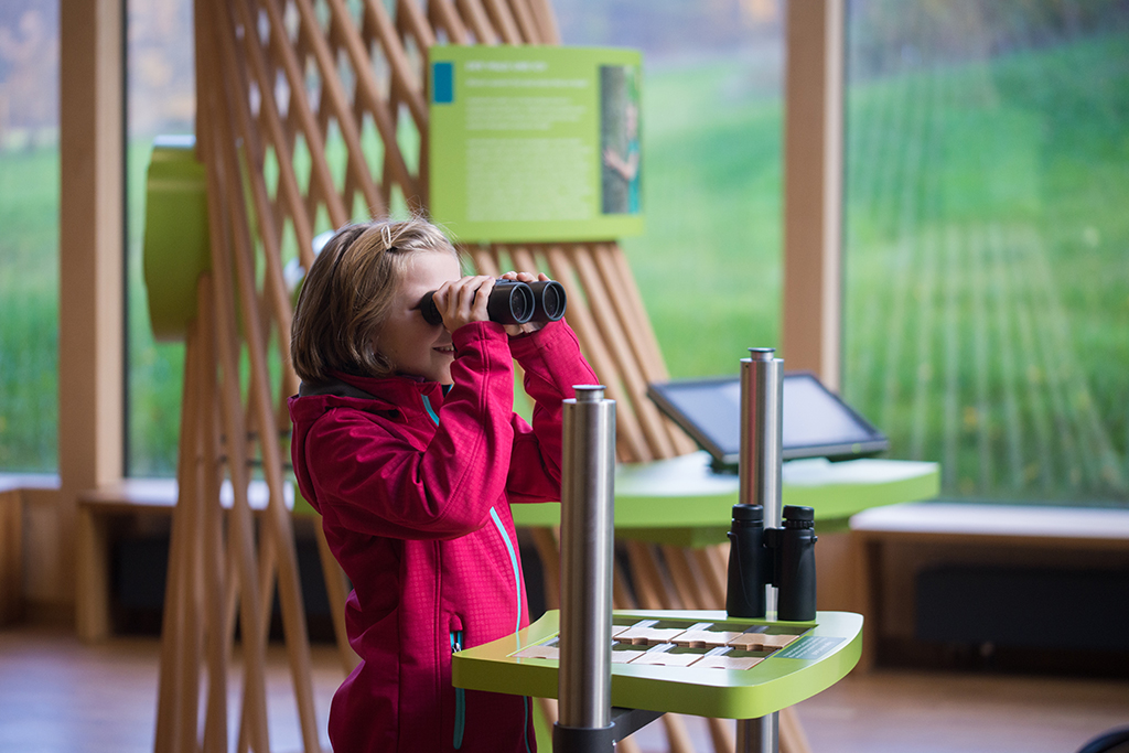 Besucher Ausstellung, Foto: Beate Glotzmann
